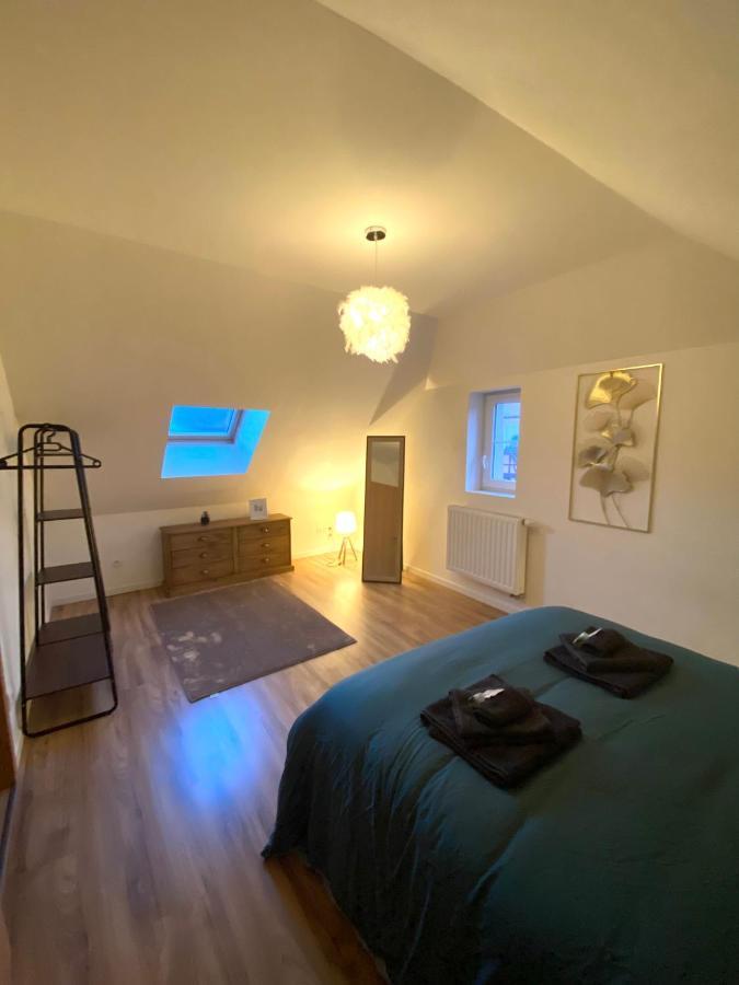 Duplex Moderne A 10 Minutes De Colmar Apartment Wintzenheim Bagian luar foto