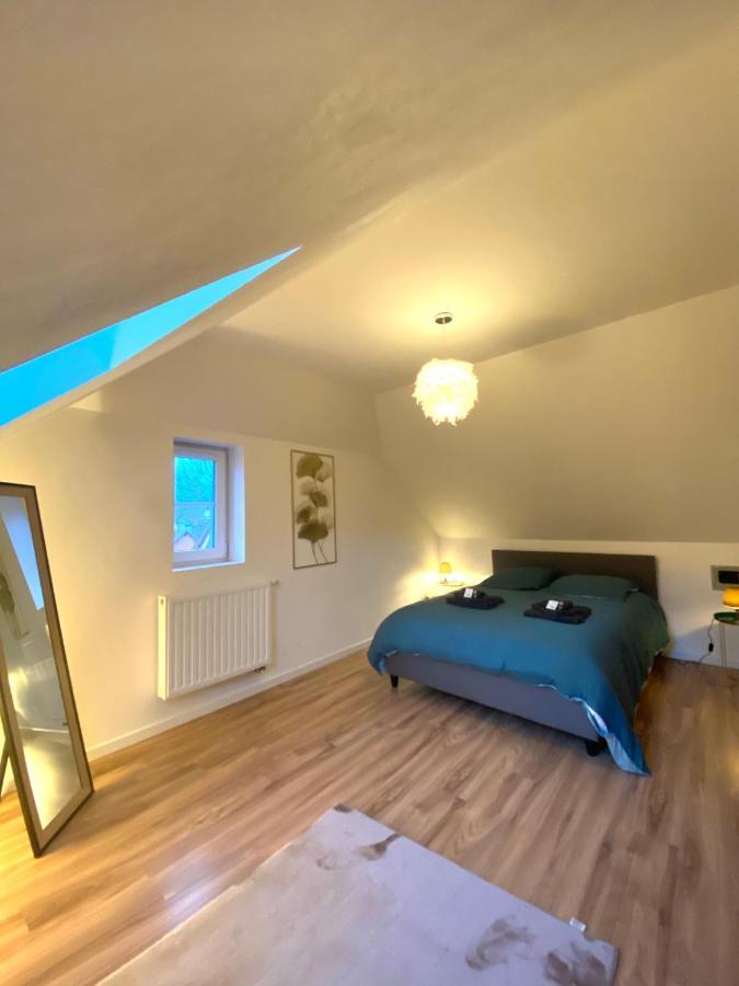 Duplex Moderne A 10 Minutes De Colmar Apartment Wintzenheim Bagian luar foto